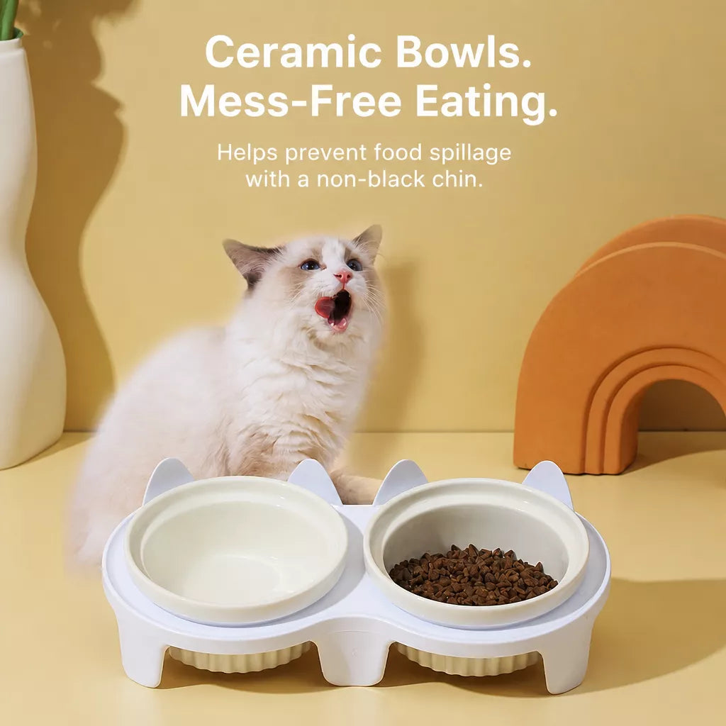 Elevated Ceramic Two-Bowl Pet Feeding Set with Stand