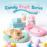 All-Season Washable Pet Bed Mat for Cats & Dogs