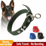 Nylon Dog Collar for Small to Large Dogs