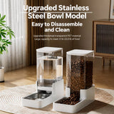 Elevated Dog & Cat Feeding Station with Water Dispenser