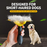 Flea Comb for Cats and Dogs
