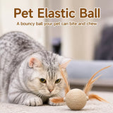Cat Ball Toy with Feather Details