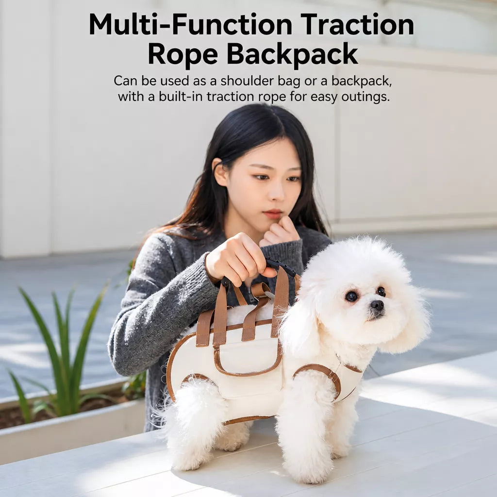 Oxford Cloth Pet Carrier Shoulder Bag for Small Dogs & Cats