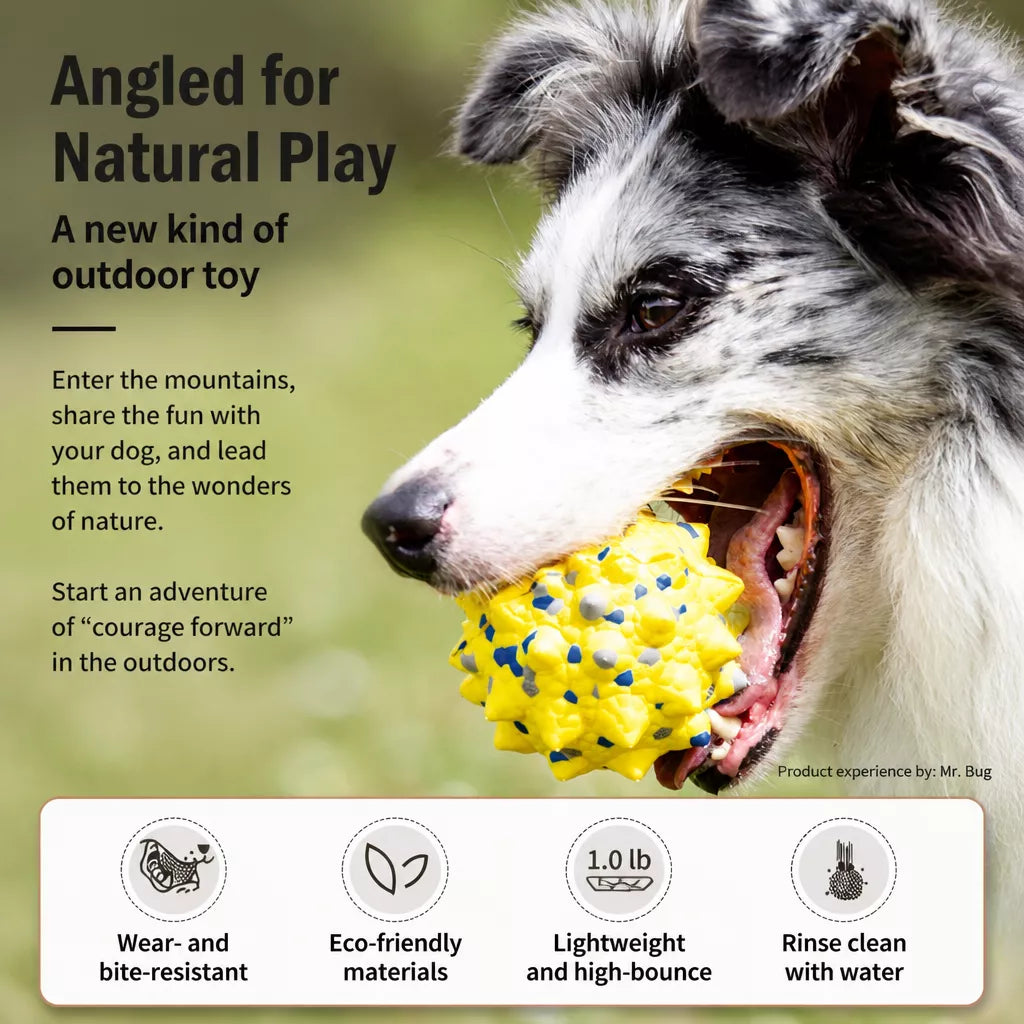 Sea Urchin Ball Dog Toy