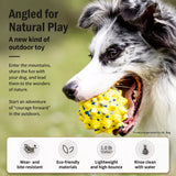 Sea Urchin Ball Dog Toy