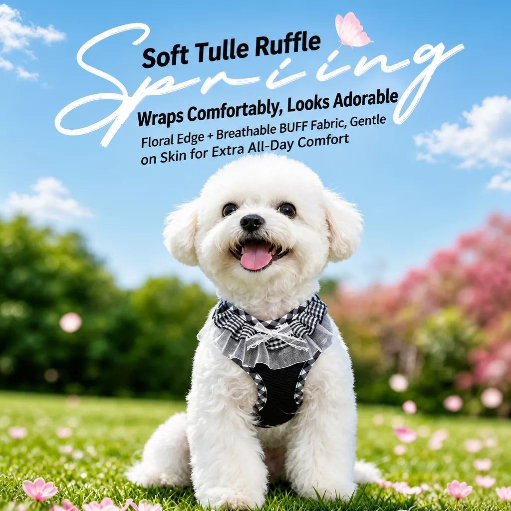 Dog Harness with 6.6-Ft Leash
