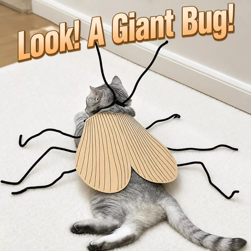 Cockroach-Inspired Cat Costume with Matching Collar