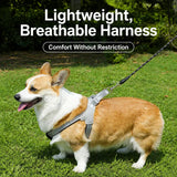 Y-Style Dog Harness Vest