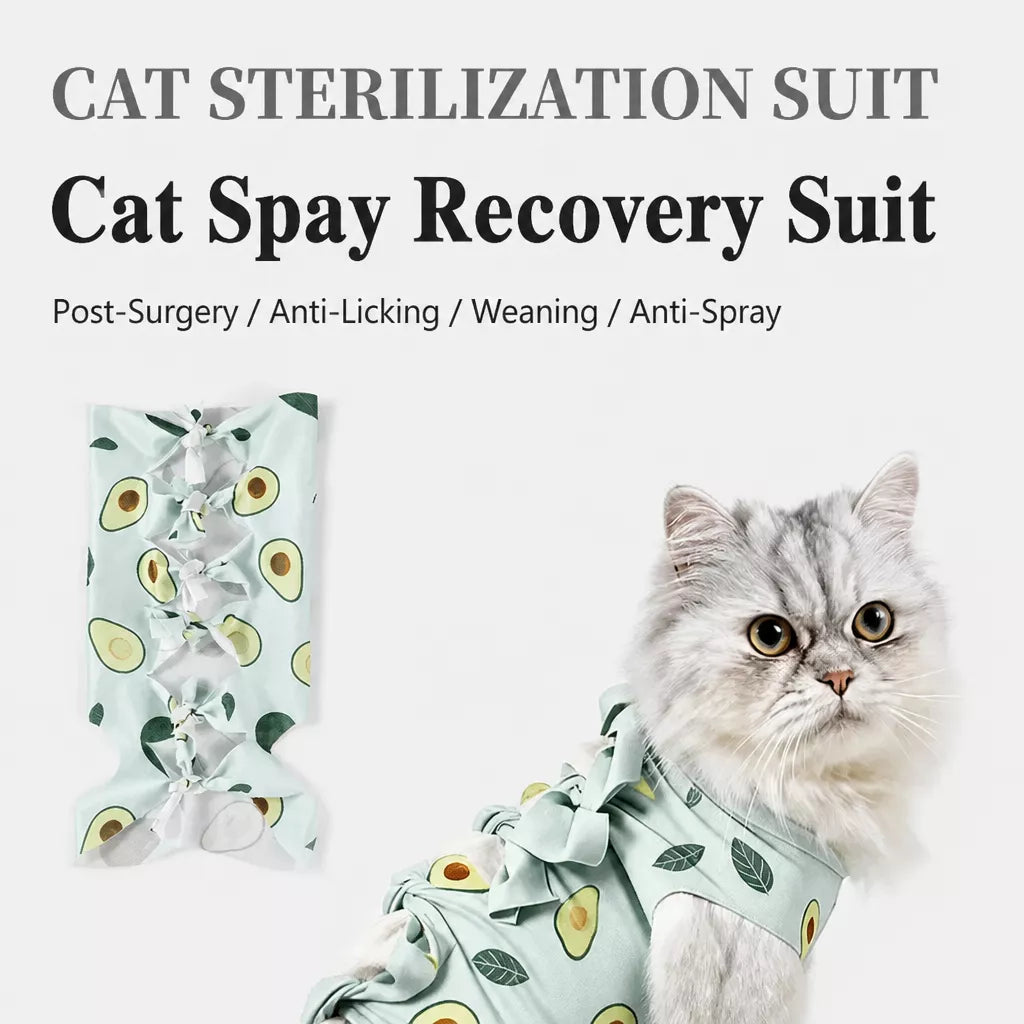 Cat Recovery Suit with Breathable Birdseye Mesh