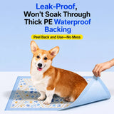 Absorbent Pet Training Pads with a Non-Woven Surface