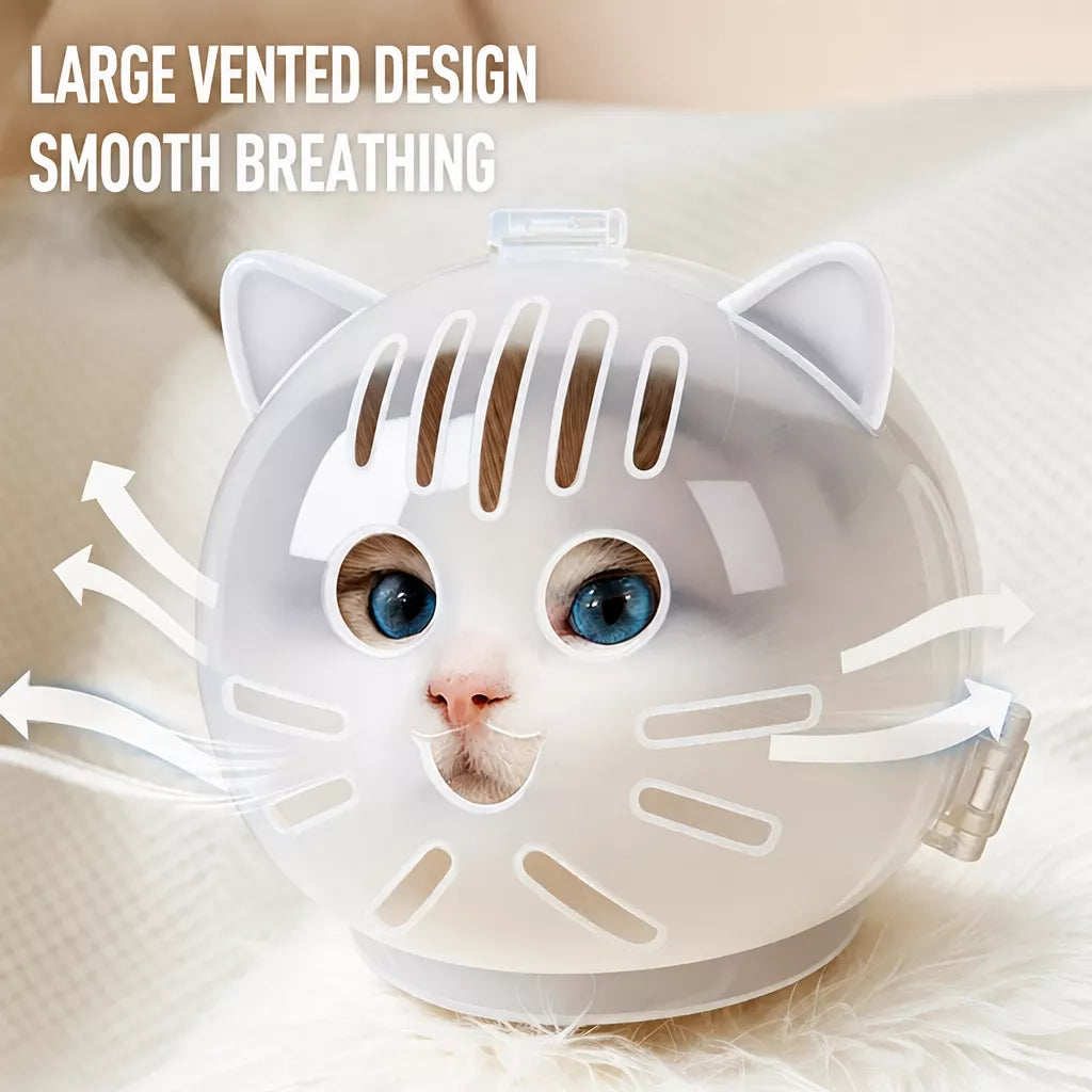 Plastic Recovery Cone for Cats During Grooming and Care