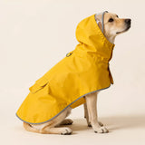Dog Raincoat for Small and Medium Dogs