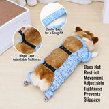 Waterproof Four-Leg Dog Raincoat with Belly Coverage
