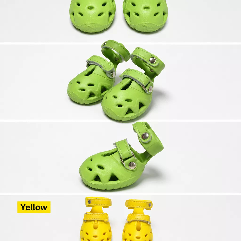 Dog Clog-Style Shoes for Outdoor Walks