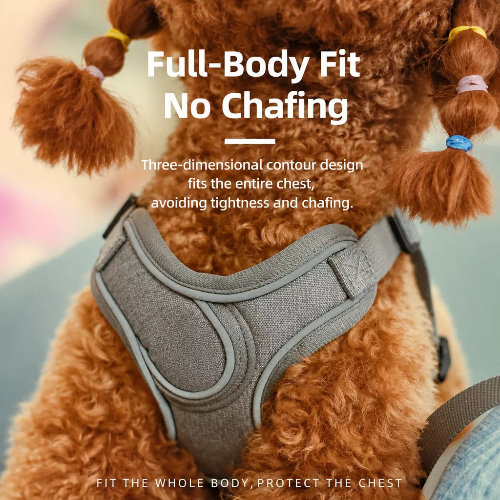 Dog Harness and Leash Set for Small to Medium Dogs