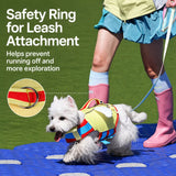 Dog Life Jacket for Swimming and Outdoor Adventures