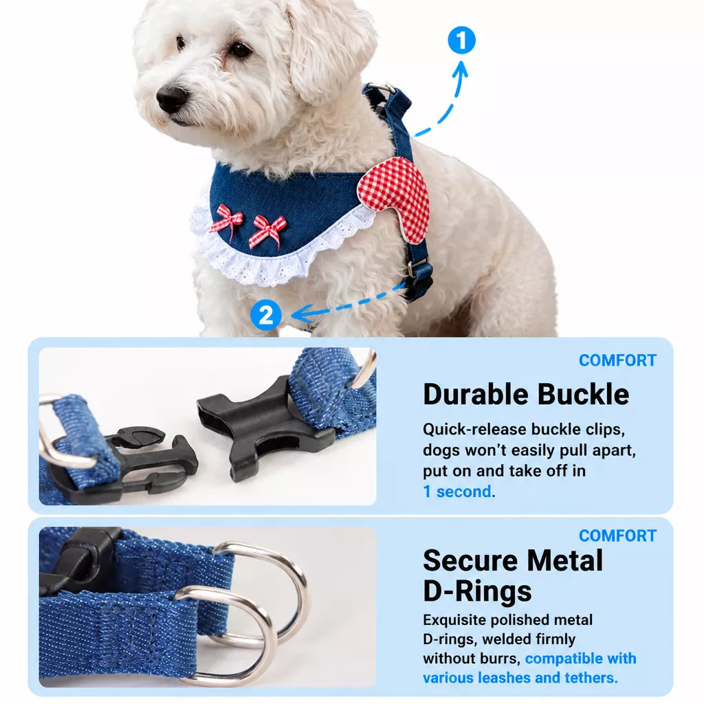 Dog Harness and Leash Set for Small to Medium Dogs