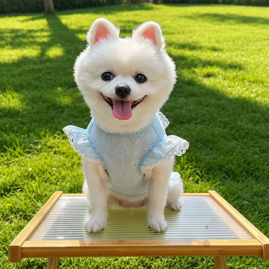 Lightweight Mesh Bow Pet Shirt with Leash Opening for Dogs & Cats