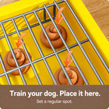 Plastic Dog Potty Tray with Grid Insert