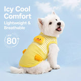 Lightweight Summer Outdoor Vest for Dogs