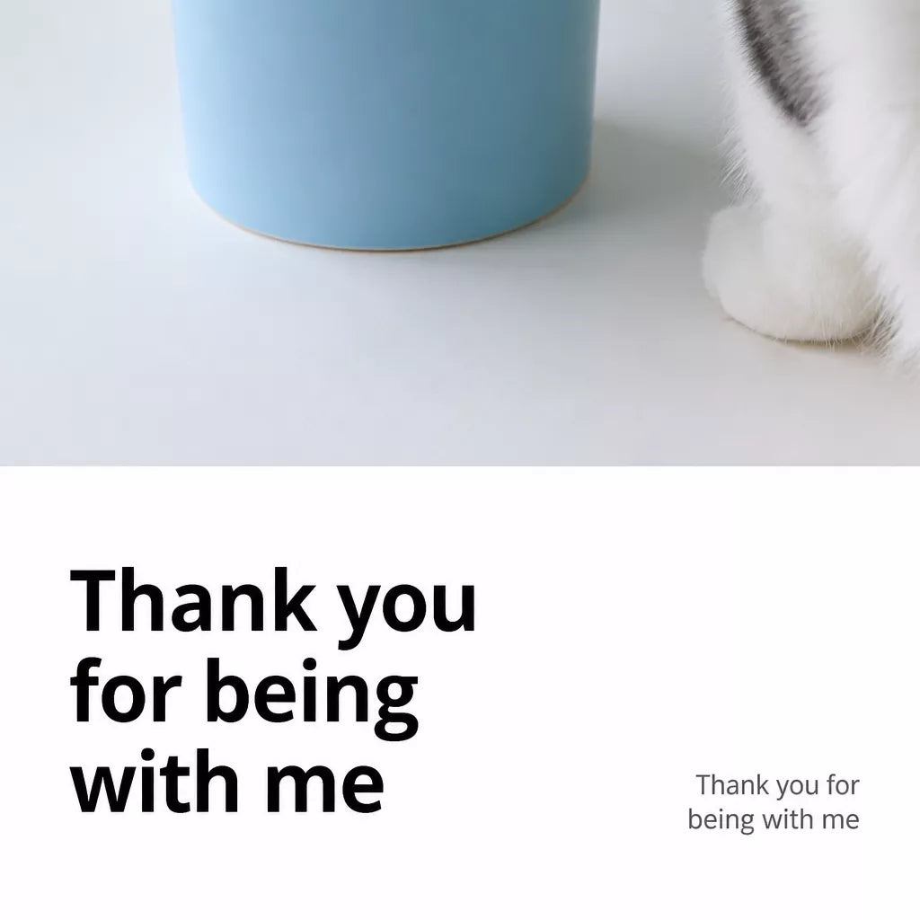 Wide-Opening Ceramic Pet Bowl for Cats and Dogs