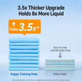 Absorbent Dog Potty Pads