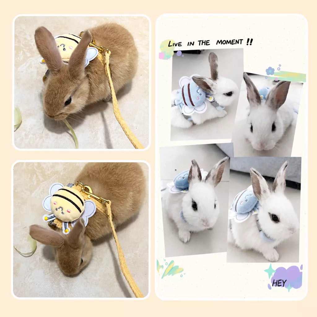 Nylon Rabbit Harness with Leash