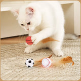 Cat Ball Toy with Feather Details