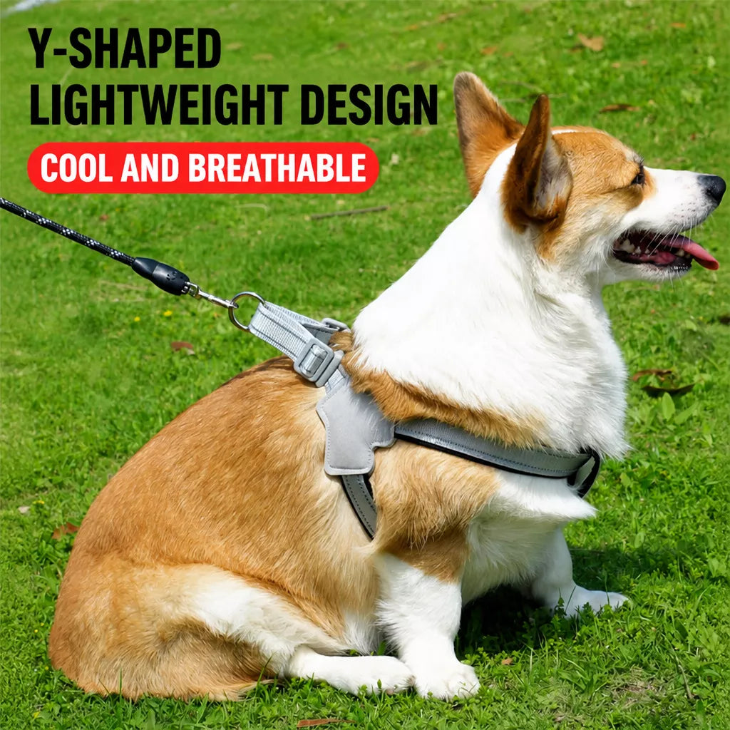 Y-Style Dog Harness Vest
