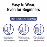 Disposable Dog Diapers for Male and Female Dogs