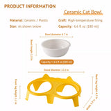 Elevated Double-Bowl Ceramic Cat Feeding Set