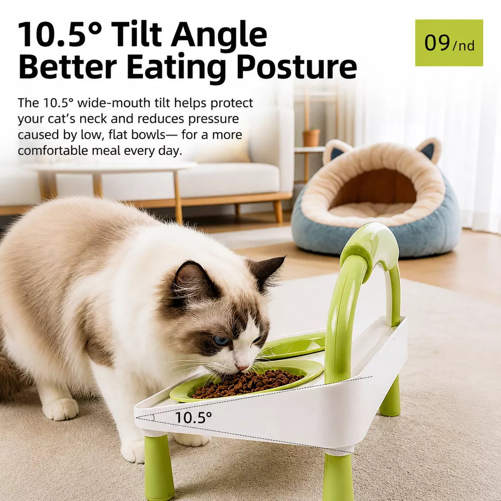 Elevated Double Pet Bowl Stand with Ceramic Bowls