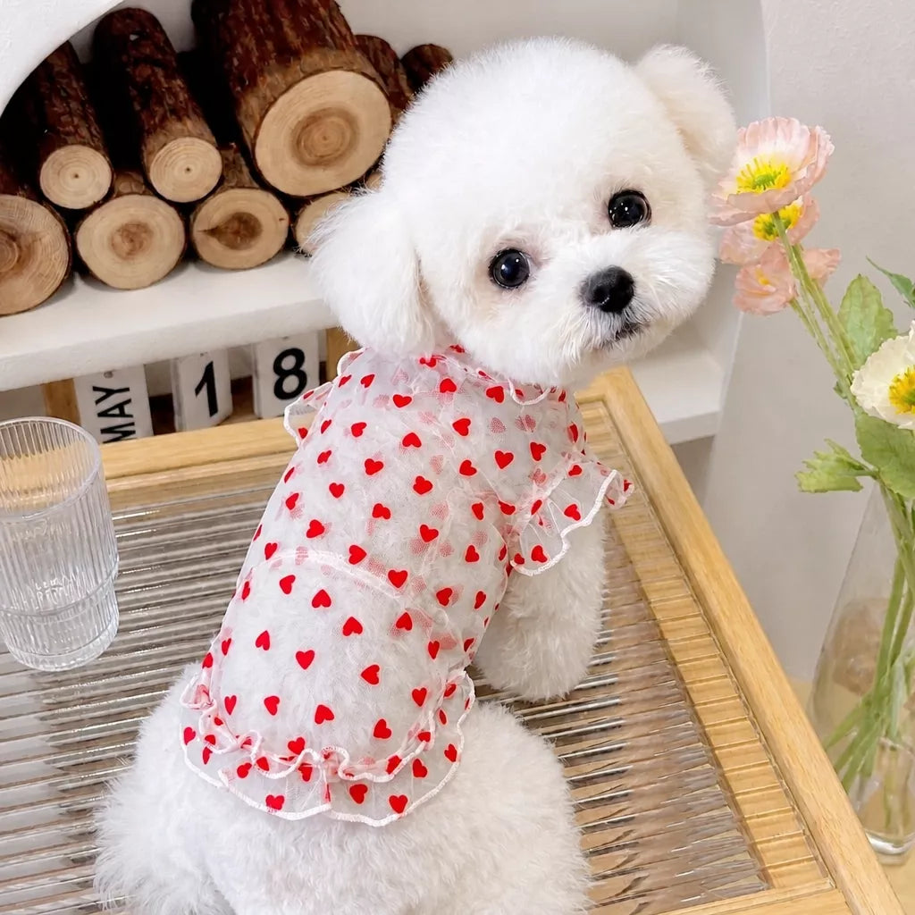 Daisy Mesh Pet Vest for Dogs and Cats