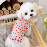 Daisy Mesh Pet Vest for Dogs and Cats