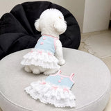 Pet Tank Tops and Strappy Dresses