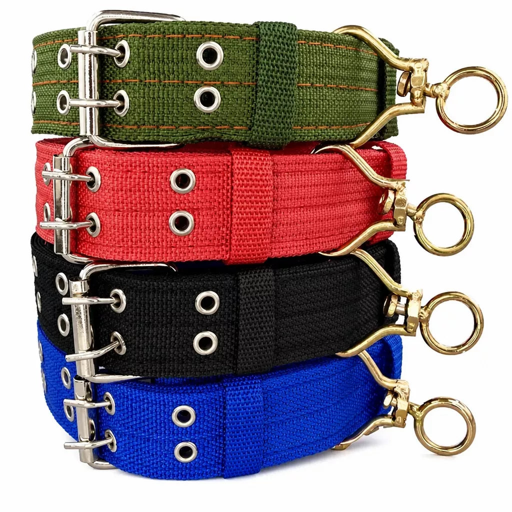 Adjustable Nylon Dog Collar