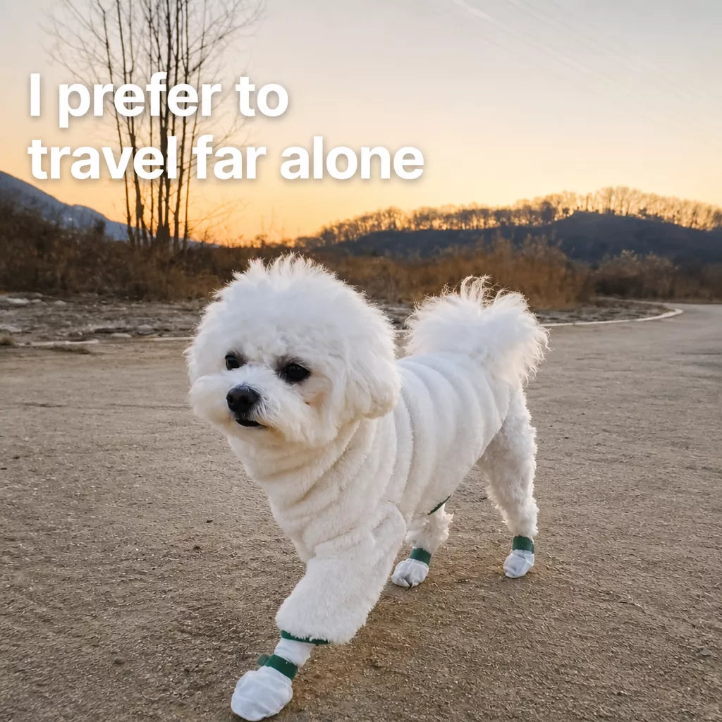 Disposable Dog Paw Covers for Outdoor Walks