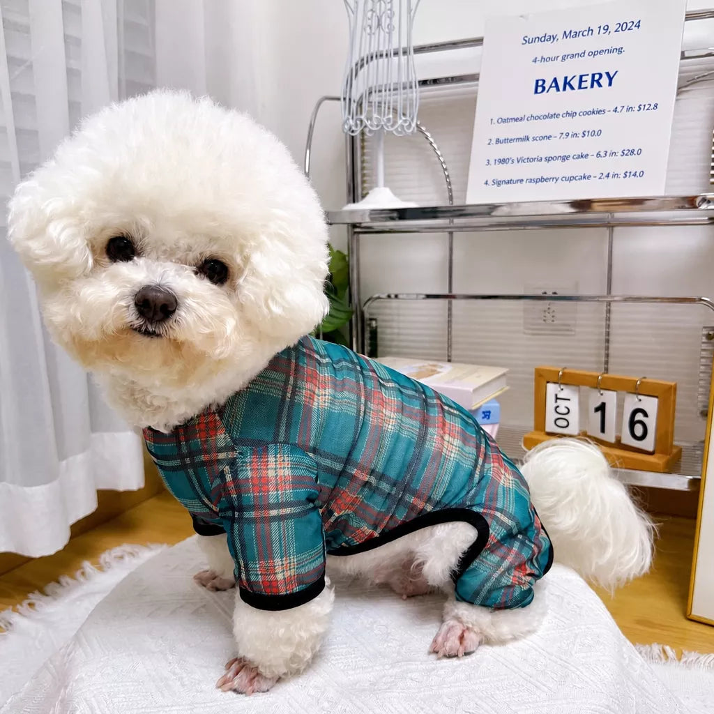 Striped Mesh Four-Leg Summer Shirt for Dogs