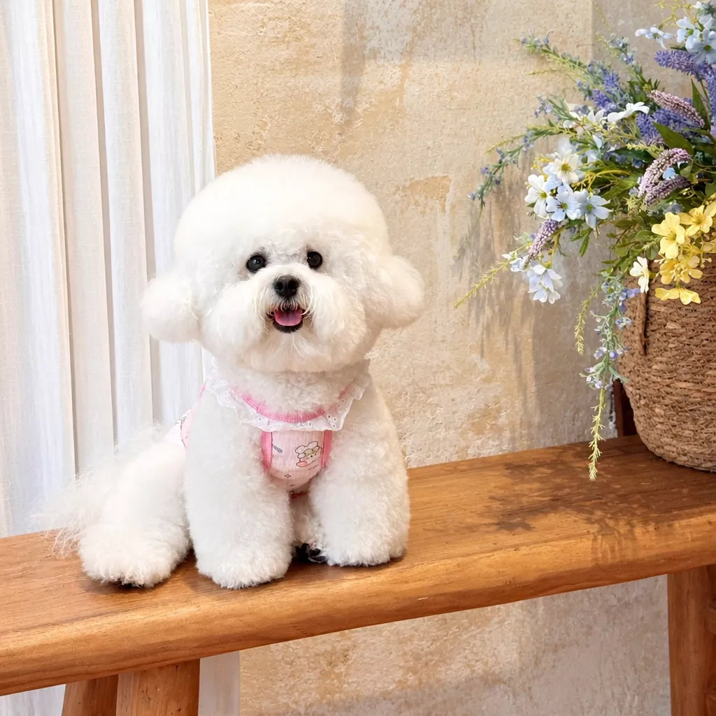Lightweight Printed Lace-Trim Pet Vest for Dogs & Cats