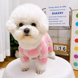 Striped Mesh Four-Leg Summer Shirt for Dogs