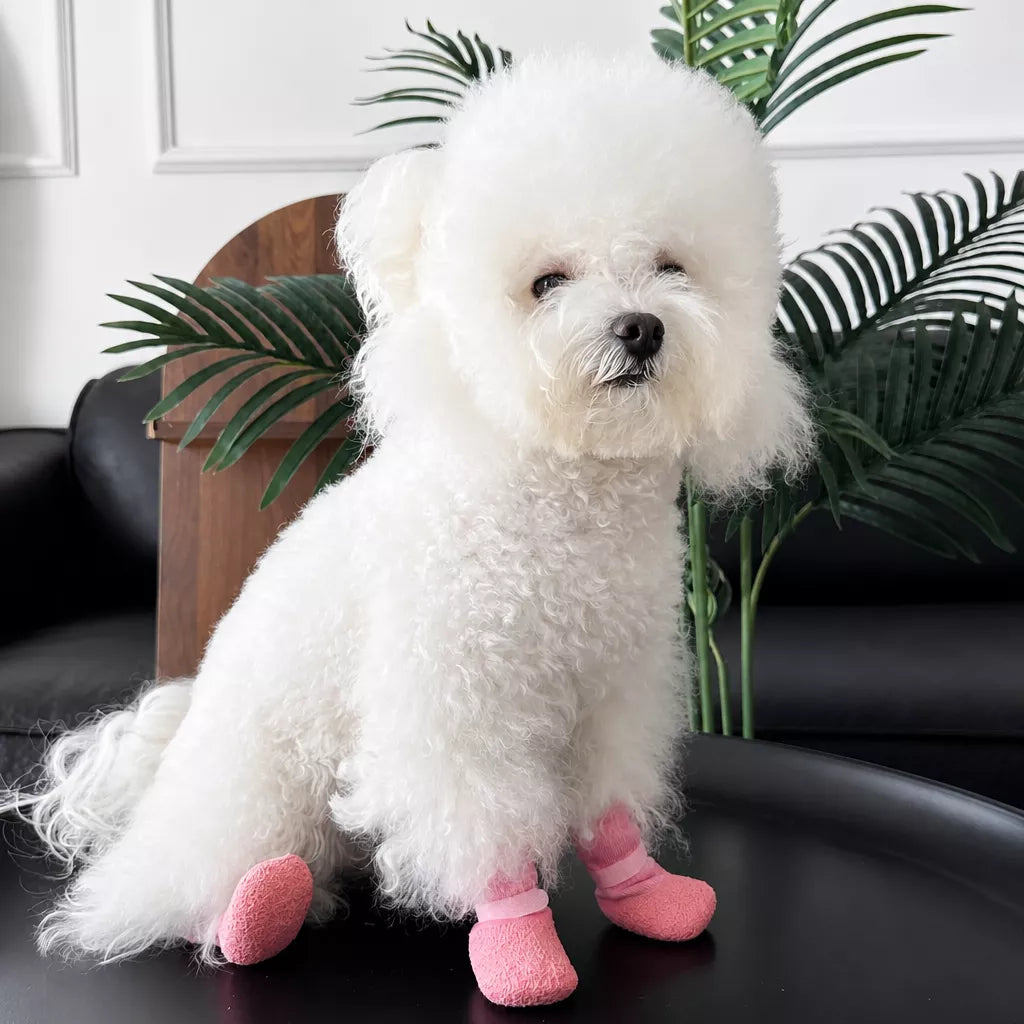 Dog Shoes for Small and Medium Dogs