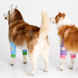 Dog Leg Cover for Year-Round Everyday Wear