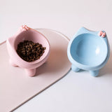 Ceramic Pet Bowl