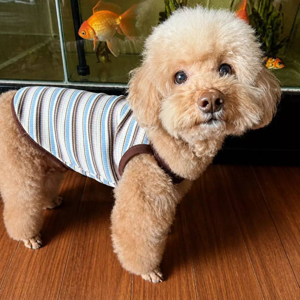 Summer Striped Cotton Pet Tank Top