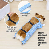 Dog Outdoor Rainwear