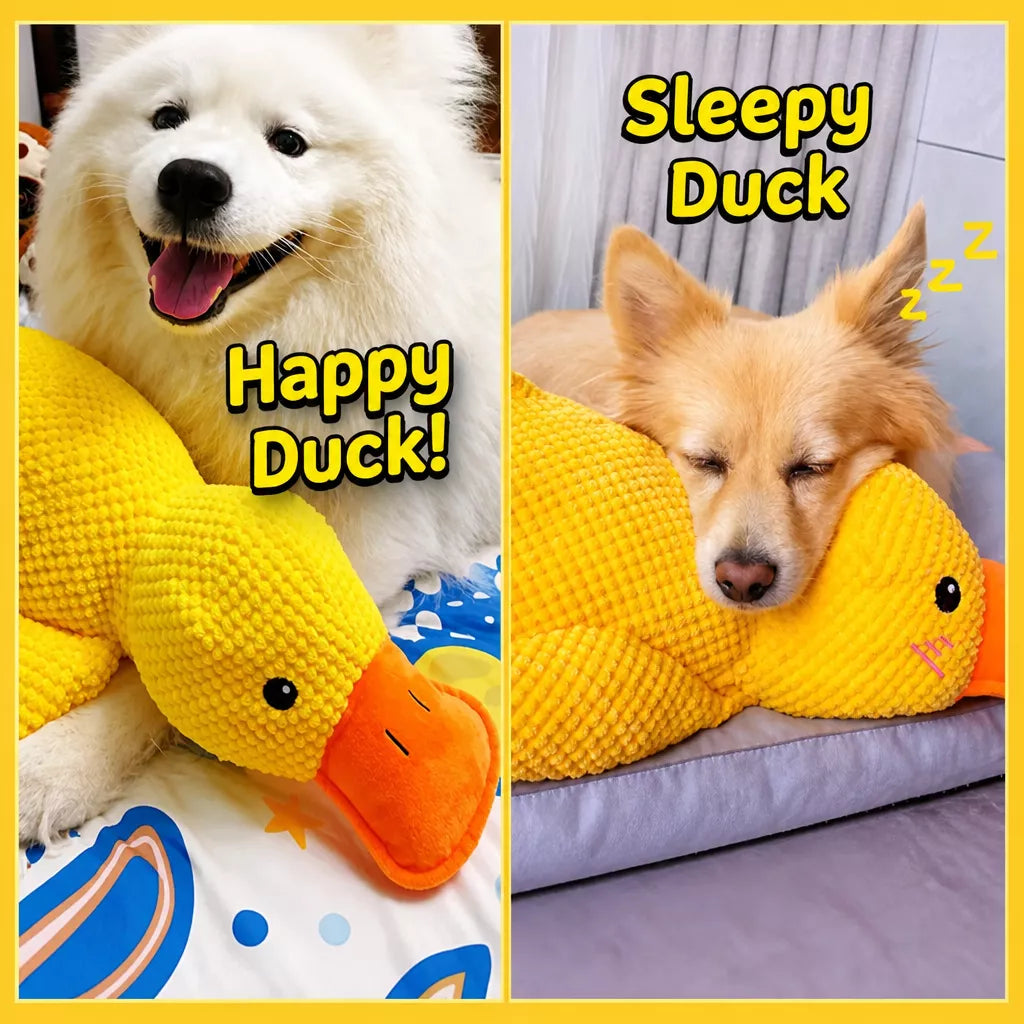 Plush Squeaky Dog Toys