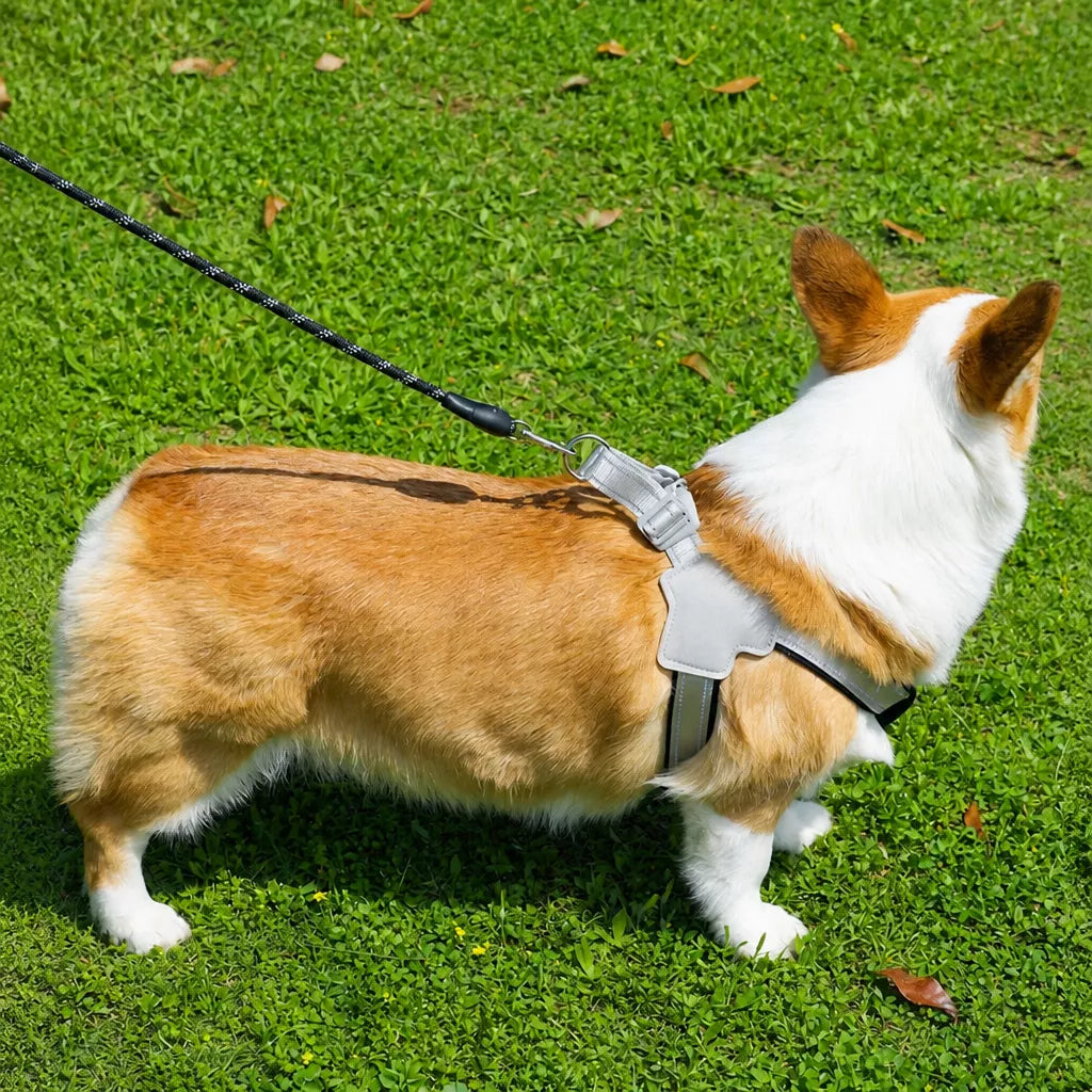 Y-Style Dog Harness Vest