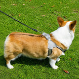 Y-Style Dog Harness Vest