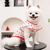 Lightweight Mesh Pet Shirt for Dogs and Cats