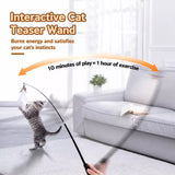 Cat Teaser Wand with Interchangeable Feather Attachments